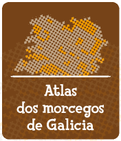 Atlas de morcegos de Galicia