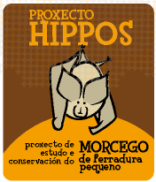 Estudio e conservaci&oacute;n do morcego de ferradura pequeno.