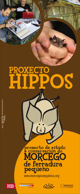 Cartel Proxecto Hippos
